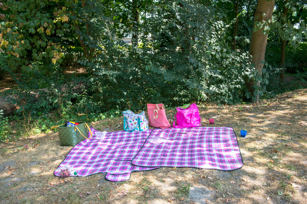 Picknicken in het park