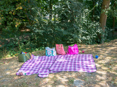 Picknicken in het park